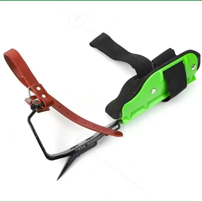 Cast Steel Green Plastic Tree  - đánh giá và giá Shoe Tree