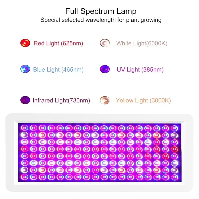 2026 Latest UV Light Box for S - đánh giá và giá Sneaker Box