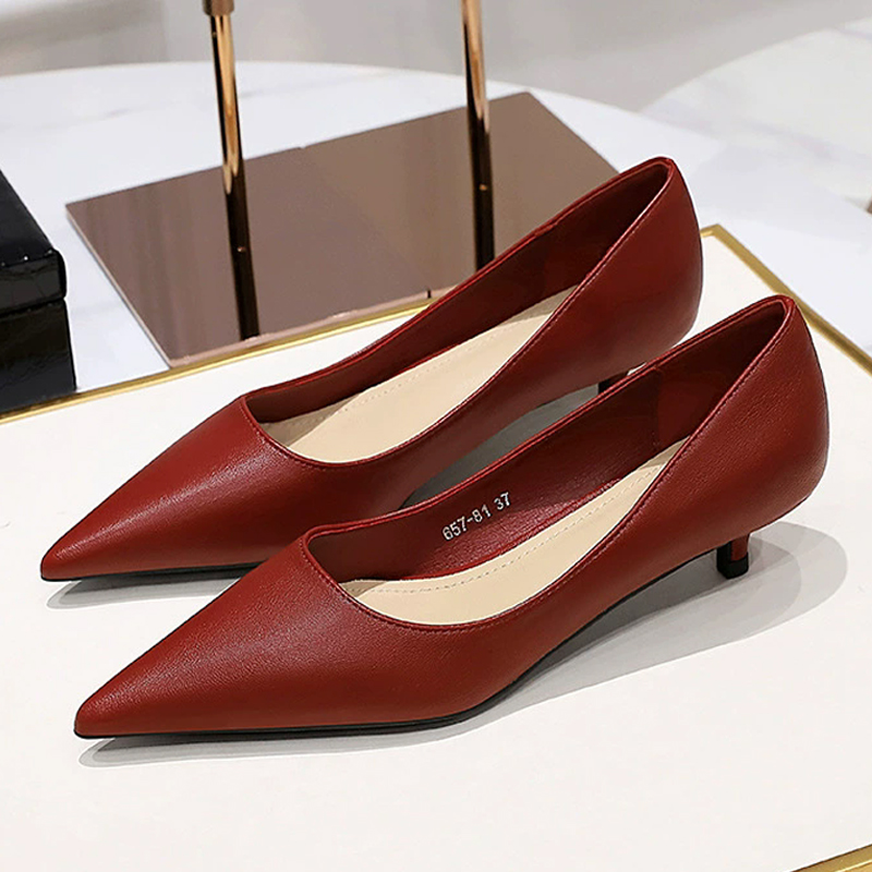 Fashion Pointed Toe Mid Heeled - đánh giá và giá Shoe Tree